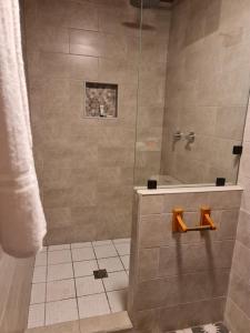 een badkamer met een douche en een glazen deur bij PANAMA CAMPING PARK in Bajo Boquete