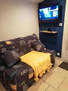 Televízia a/alebo spoločenská miestnosť v ubytovaní L'esterel