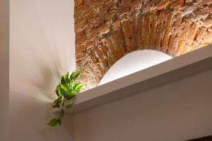 eine Pflanze auf einem Regal neben einer Ziegelmauer in der Unterkunft Milano City Apartments - Duomo Brera - Elegant Suite in Design District in Mailand