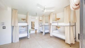 a room with four bunk beds in it at SurfNest Tamarindos in Brisas de Zicatela