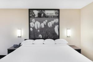 Postel nebo postele na pokoji v ubytování Super 8 by Wyndham Charlottesville