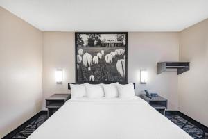 Postel nebo postele na pokoji v ubytování Super 8 by Wyndham Charlottesville