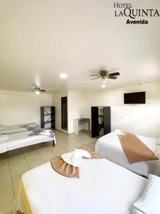 ein Hotelzimmer mit zwei Betten und einem Deckenventilator in der Unterkunft Hotel Quinta Avenida in San José