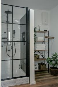 a bathroom with a shower with a glass door at N°1 Loft Am Yachthafen in Bad Zwischenahn