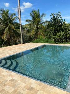 a swimming pool in a resort with palm trees at Pousada Usina Paraíso in Astolfo Dutra