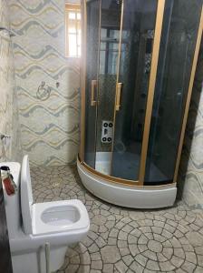 a bathroom with a shower and a toilet at S&Y Apartment in Ilesa