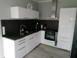 Kuchyň nebo kuchyňský kout v ubytování Ferienhaus Devilina mit Sauna am Harkebrügger See