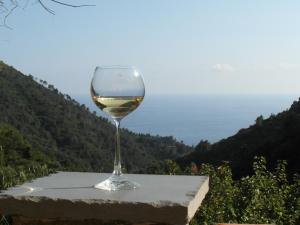 una copa de vino blanco sentada en una cornisa en Agriturismo Costa di Campo, en Vernazza