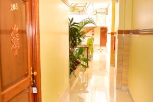 伊基托斯Hotel Ventura Isabel的相册照片