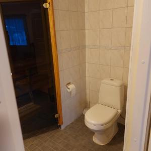 a small bathroom with a toilet and a shower at Mesijäinen in Pyhäjärvi