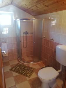 La salle de bains est pourvue d'une douche et de toilettes. dans l'établissement Dario studio apartman, à Kukljica