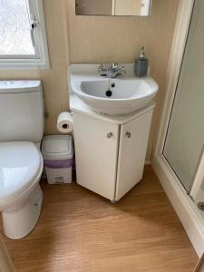 ein Bad mit einem Waschbecken und einem WC in der Unterkunft 3 bed caravan Norfolk near the coast in Belton