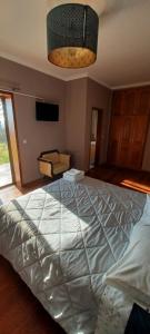 - une chambre avec un grand lit et un canapé dans l'établissement Quinta do Carvalho - Nature Guest Houses, à Guimarães