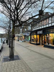 a street with shops and a tree on a sidewalk at Wellington Cottage in Ilkley