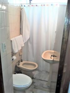 a bathroom with a toilet and a sink at COMODA SUITE EN UNA UBICACIÓN PRIVILEGIADA DE LA CIUDAD DE MENDOZA in Mendoza