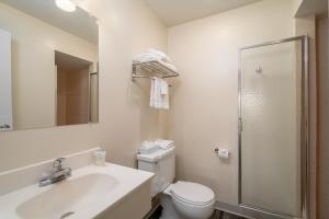 La salle de bains est pourvue d'un lavabo, de toilettes et d'un miroir. dans l'établissement Nevada Flats Hotel, à Colorado Springs