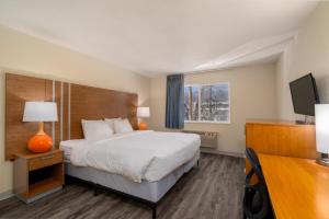 Un pat sau paturi într-o cameră la Nevada Flats Hotel