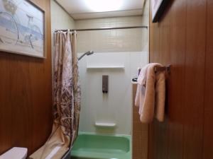 a bathroom with a shower and a sink at Ma's Way in Anchorage