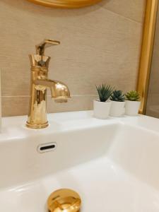 a bathroom sink with a gold faucet and plants at PORTO SOFIA in Kumanovo