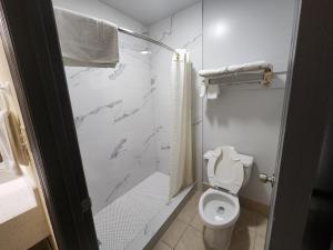 a white bathroom with a toilet and a shower at Budget Host Inn in Henderson