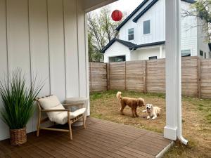 two dogs are standing on a porch with a ball at Contemporary NEW 10min dt Pet friendly 7min Park-A in Austin