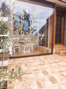 Fotografie z fotogalerie ubytování PORTO SOFIA v destinaci Kumanovo