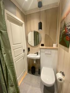 bagno con servizi igienici, lavandino e specchio di Stave Camping & Hot Pools a Stave