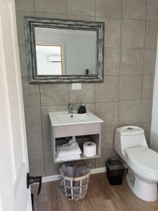 a bathroom with a sink and a toilet and a mirror at Nenquen Lodge in Santa Cruz