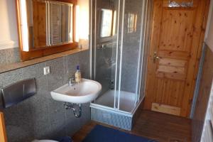 a bathroom with a sink and a shower at Ferienwohnungen Villa Haniel Sophie in Dresden