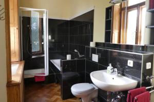 a bathroom with a sink and a toilet and a mirror at Ferienwohnung Villa Haniel Edmund in Dresden