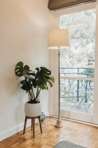 a lamp and a plant in a room with a window at The Mill Apartments Clare Valley in Clare