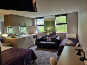 Melbourne ViVo في ملبورن: مطبخ وغرفة معيشة مع سرير وأريكة