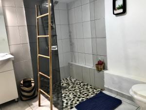 a shower with a ladder in a bathroom at Kaz Anna in Petit-Bourg