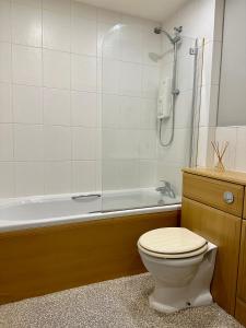 a bathroom with a toilet and a bath tub at Two Bedroom Entire Flat in Darlington with Free Parking, WiFi and lots more in Darlington
