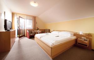 een hotelkamer met een bed en een televisie bij Hotel Mönichwalderhof in Mönichwald +74 foto's