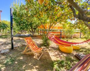 Dwa hamaki siedzą pod drzewem pomarańczowym. w obiekcie Noosh guesthouse w mieście Ashnak
