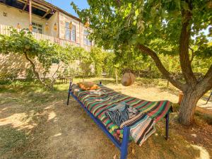 un gato tirado en un banco bajo un árbol en Noosh guesthouse en Ashnak