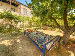 a cat laying on a bench under a tree at Noosh guesthouse in Ashnak