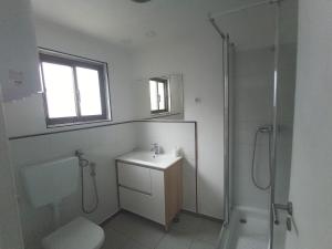 een badkamer met een toilet, een wastafel en een douche bij Ginjals 67 in Almargem