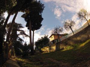 a house on the side of a hill with trees at B&B Il Cedro in Genoa