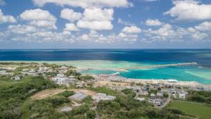 een luchtzicht op het strand en de oceaan bij リゾートイン西表島 in Iriomote