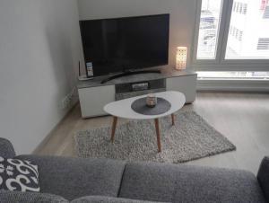 TV a/nebo společenská místnost v ubytování Moderni avara yksiö Jyväskylän ydinkeskustassa