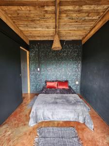 a bedroom with a large bed with a red pillow at Hartbees Eco Bush Lodge 1 in Hartbeespoort