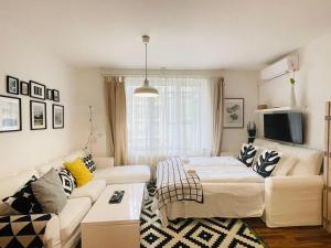 Televízia a/alebo spoločenská miestnosť v ubytovaní Peony Székely Mihály Apartment - Free Garage