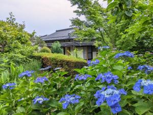 Giardino di 満天の庭 Manten-no-niwa