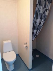 a bathroom with a toilet and a shower at Hotell Hemgården in Bengtsfors