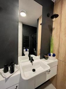 La salle de bains est pourvue de 2 lavabos blancs et d'un miroir. dans l'établissement Niezapominajka przy Manufakturze, à Łódź
