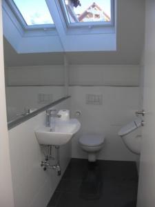 La salle de bains est pourvue de toilettes, d'un lavabo et d'une fenêtre. dans l'établissement Apartment im Salzburger Seenland, à Seeham