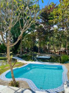 una piscina in un cortile con un albero di Shaya Resort a Pai