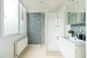 La salle de bains est pourvue d'un lavabo et d'une douche. dans l'établissement Lichtrijk appartement op toplocatie in Gent, à Gand